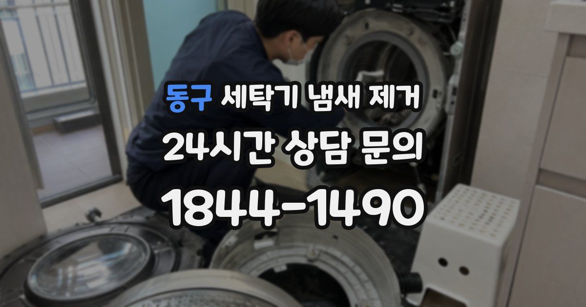 동구 세탁기 냄새 제거