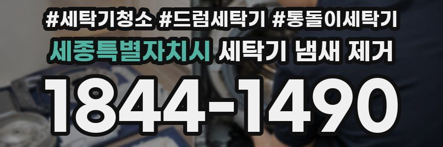 세종특별자치시 세탁기 냄새 제거