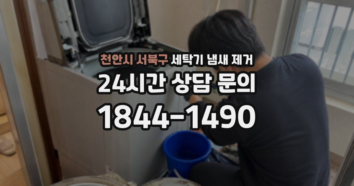 천안시 서북구 세탁기 냄새 제거