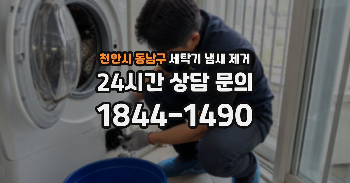 천안시 동남구 세탁기 냄새 제거