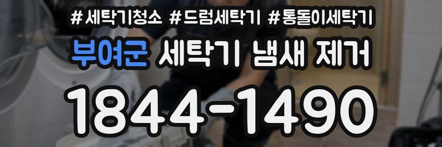 부여군 세탁기 냄새 제거