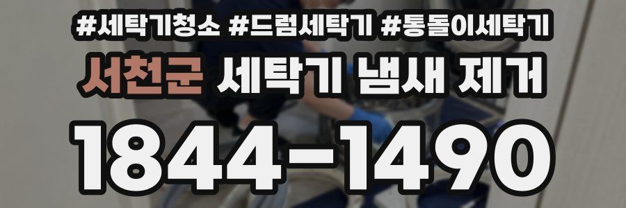 서천군 세탁기 냄새 제거