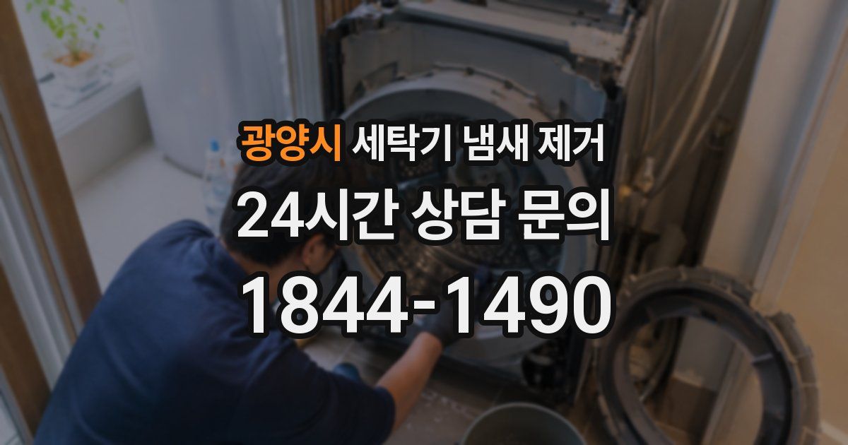 광양시 세탁기 냄새 제거