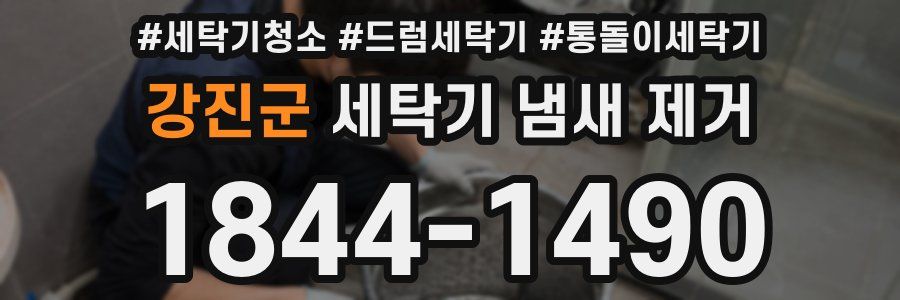 강진군 세탁기 냄새 제거