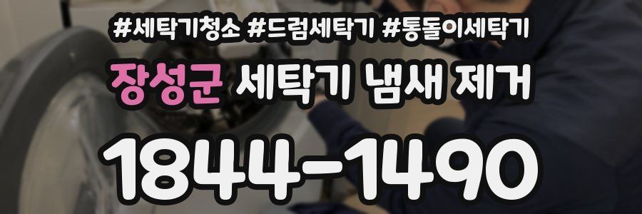 장성군 세탁기 냄새 제거