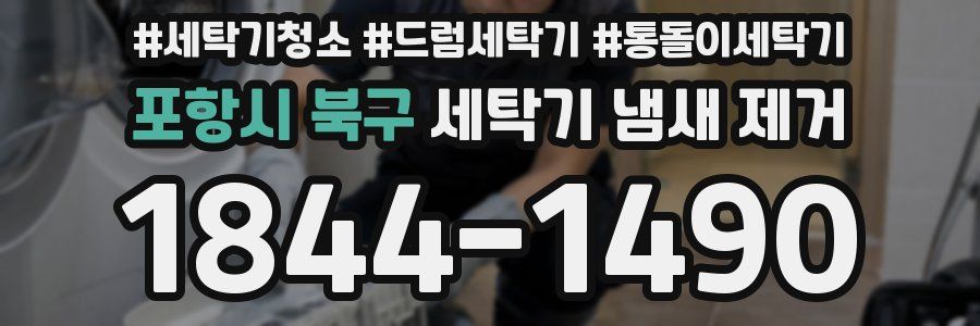 포항시 북구 세탁기 냄새 제거