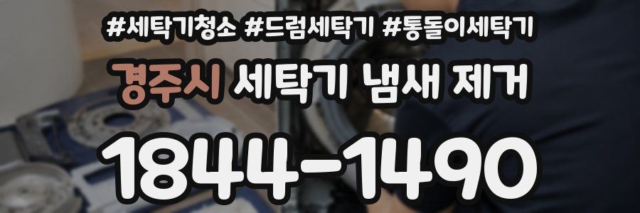 경주시 세탁기 냄새 제거