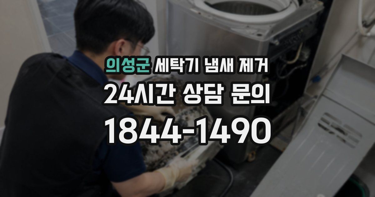 의성군 세탁기 냄새 제거