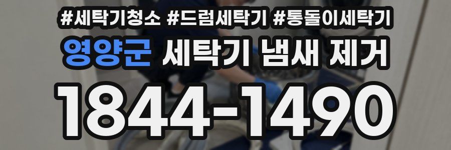 영양군 세탁기 냄새 제거