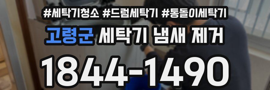 고령군 세탁기 냄새 제거