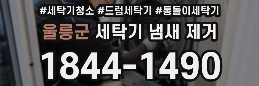 울릉군 세탁기 냄새 제거