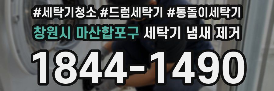 창원시 마산합포구 세탁기 냄새 제거
