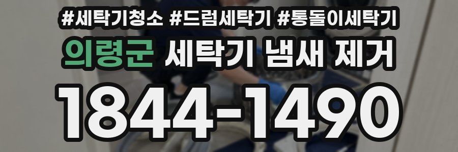 의령군 세탁기 냄새 제거