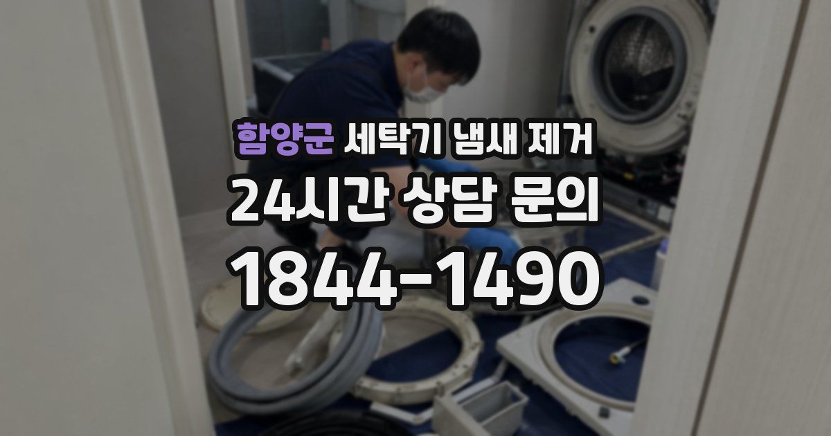함양군 세탁기 냄새 제거