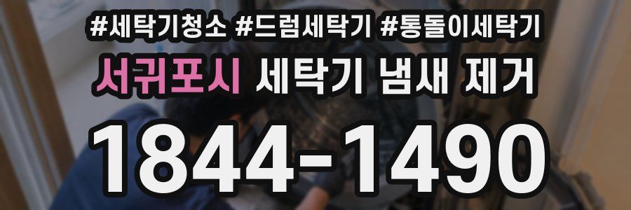 서귀포시 세탁기 냄새 제거