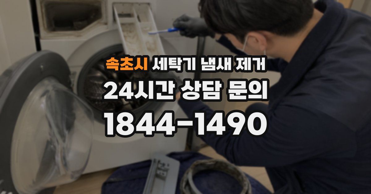 속초시 세탁기 냄새 제거