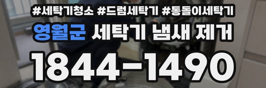 영월군 세탁기 냄새 제거