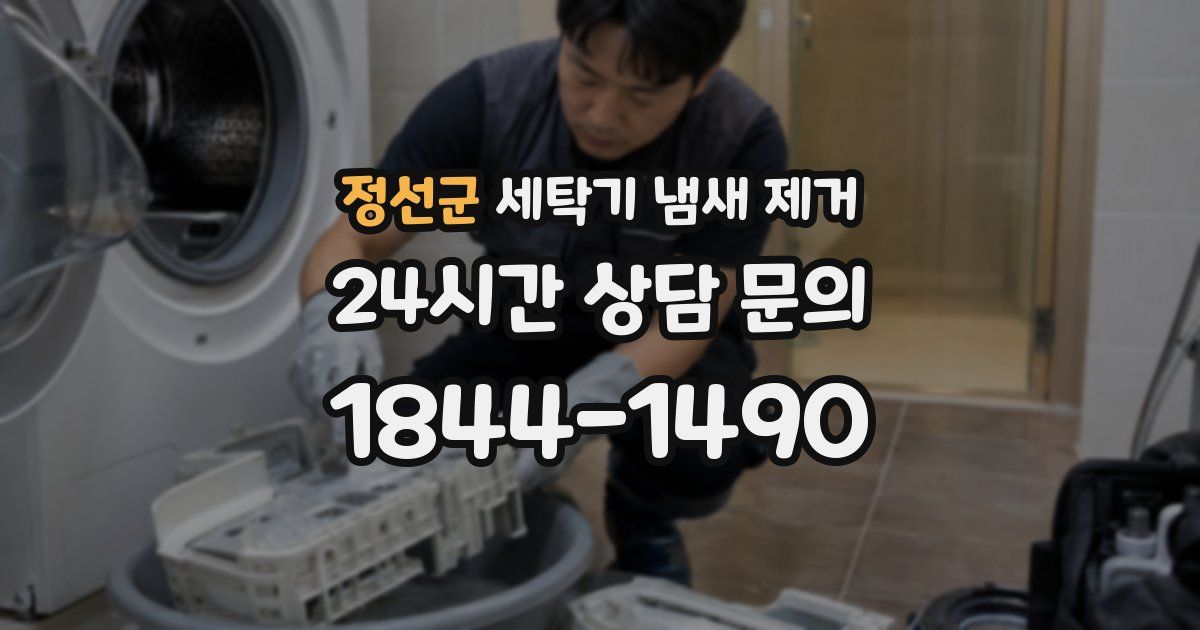 정선군 세탁기 냄새 제거