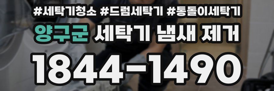 양구군 세탁기 냄새 제거