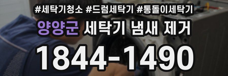 양양군 세탁기 냄새 제거