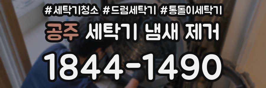 공주 세탁기 냄새 제거