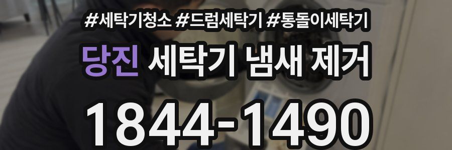 당진 세탁기 냄새 제거