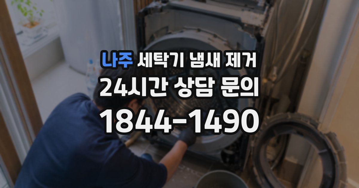 나주 세탁기 냄새 제거