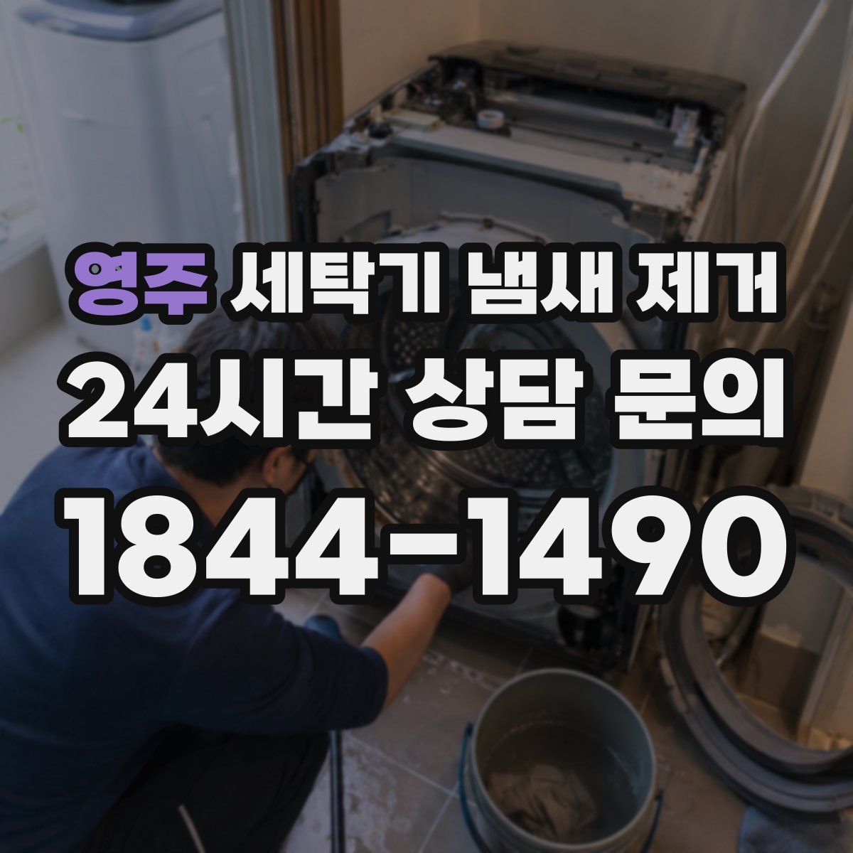 영주 세탁기 냄새 제거