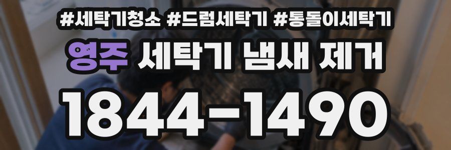 영주 세탁기 냄새 제거