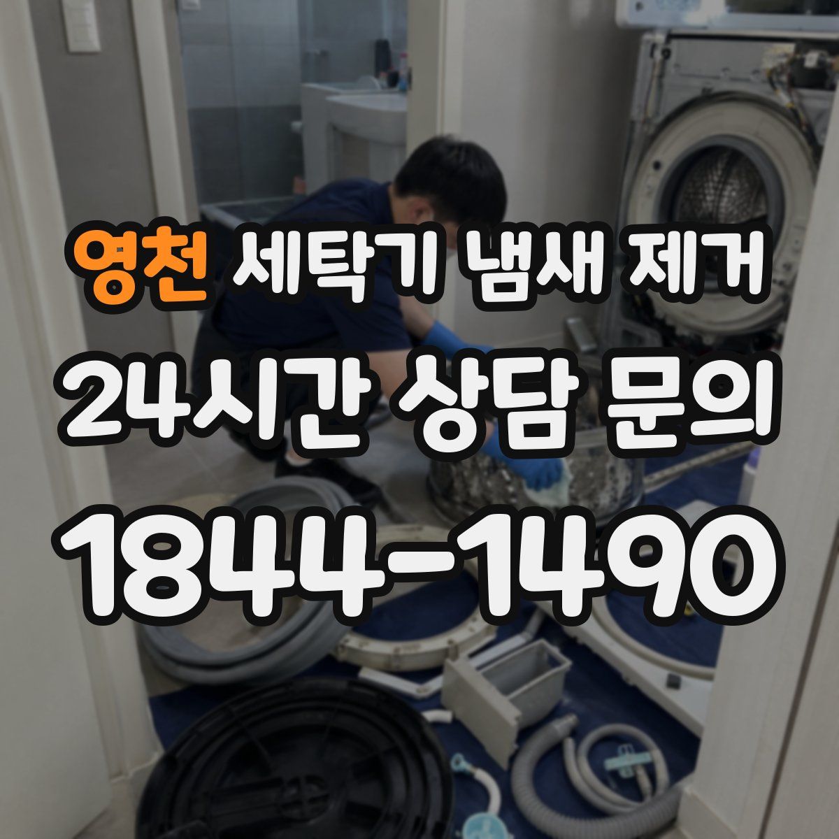 영천 세탁기 냄새 제거