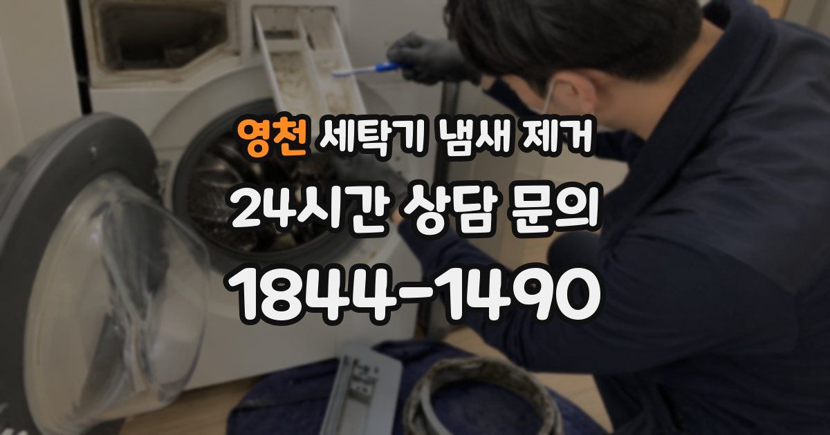영천 세탁기 냄새 제거