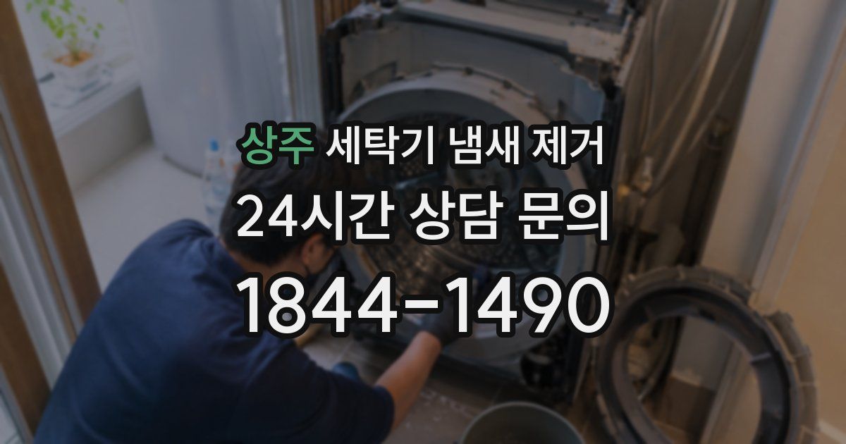 상주 세탁기 냄새 제거