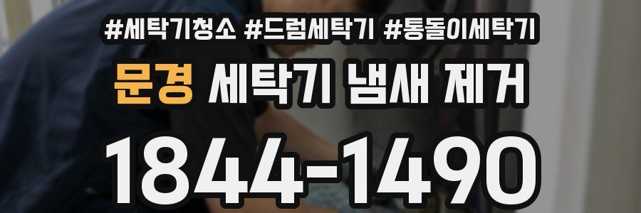 문경 세탁기 냄새 제거