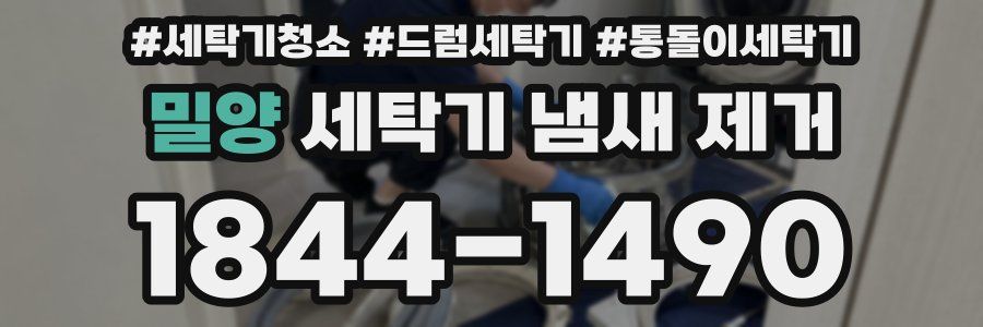 밀양 세탁기 냄새 제거