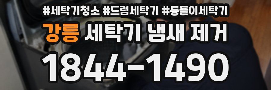 강릉 세탁기 냄새 제거