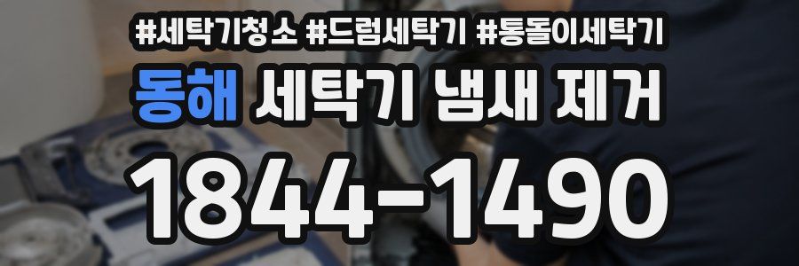 동해 세탁기 냄새 제거