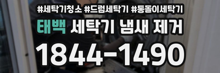 태백 세탁기 냄새 제거
