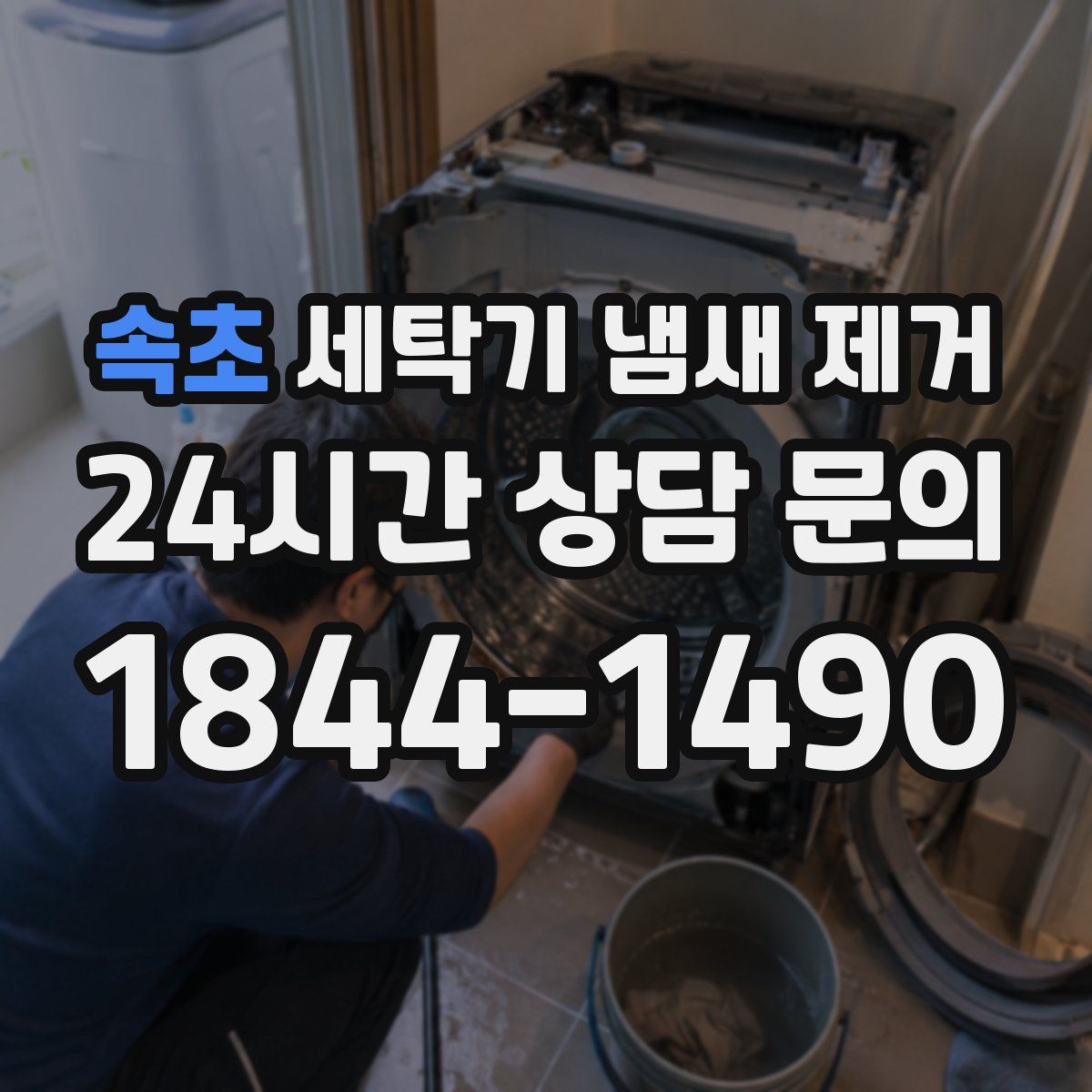 속초 세탁기 냄새 제거