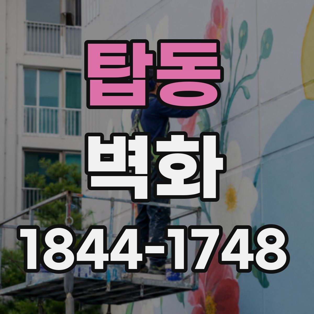 탑동 벽화