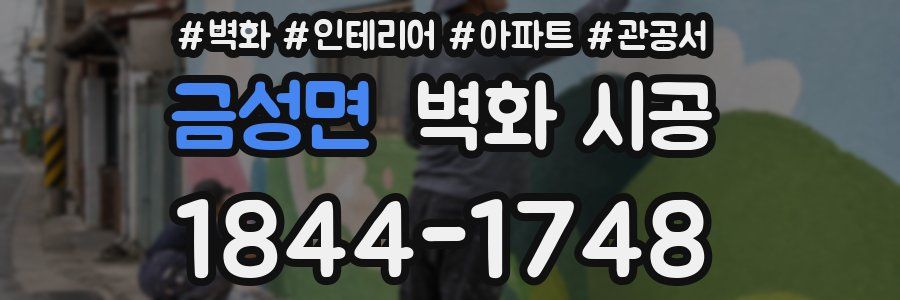 금성면 벽화 시공