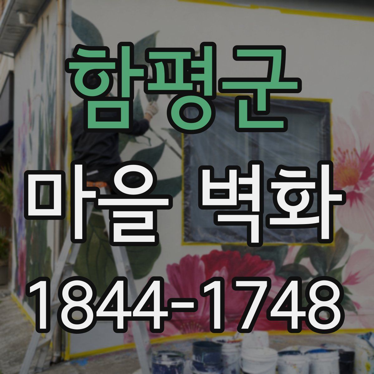 함평군 마을 벽화