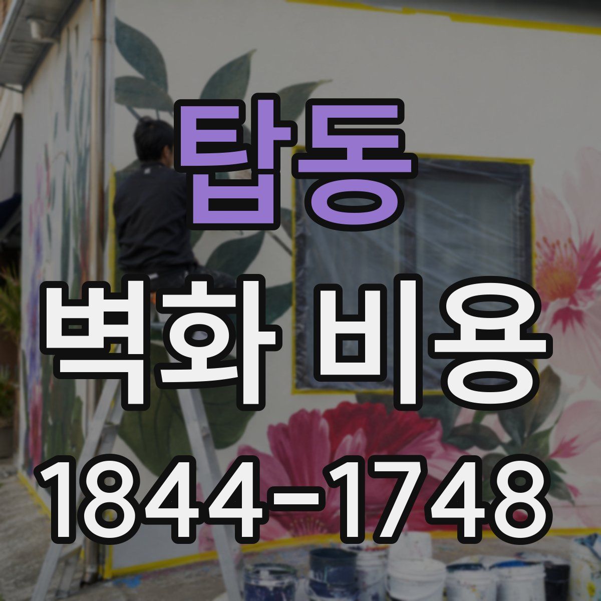 탑동 벽화 비용