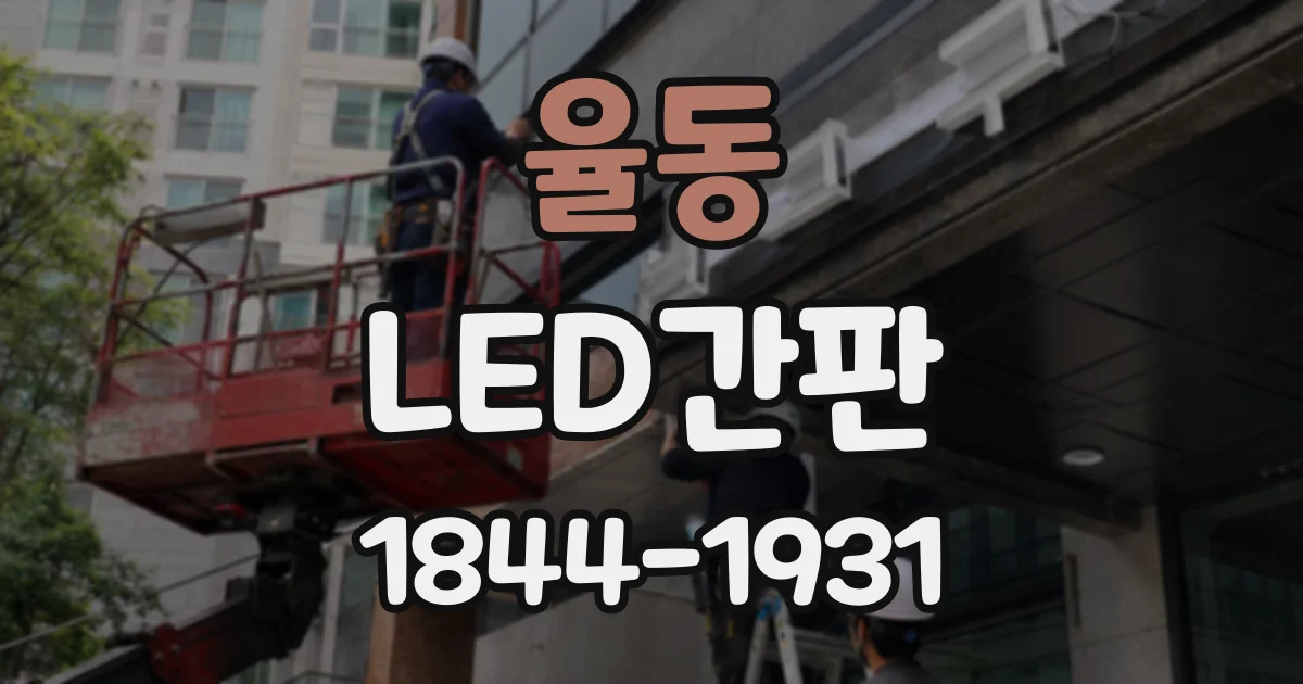 율동 LED간판