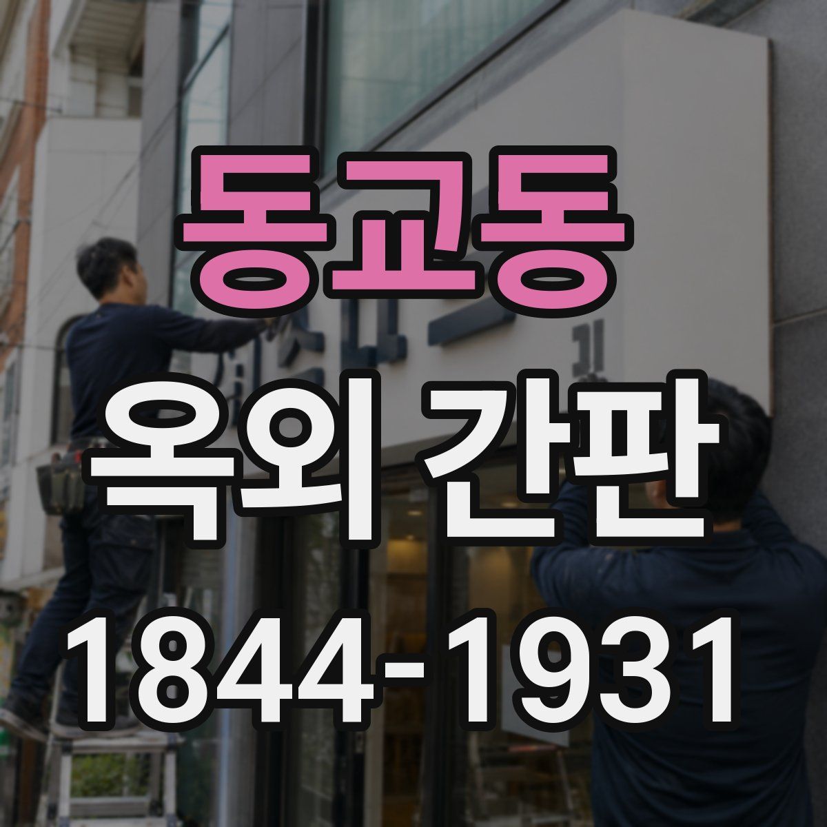 동교동 옥외 간판