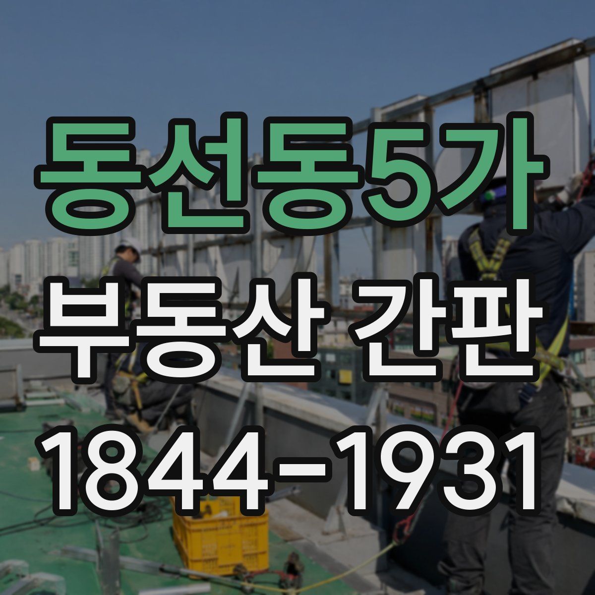동선동5가 부동산 간판