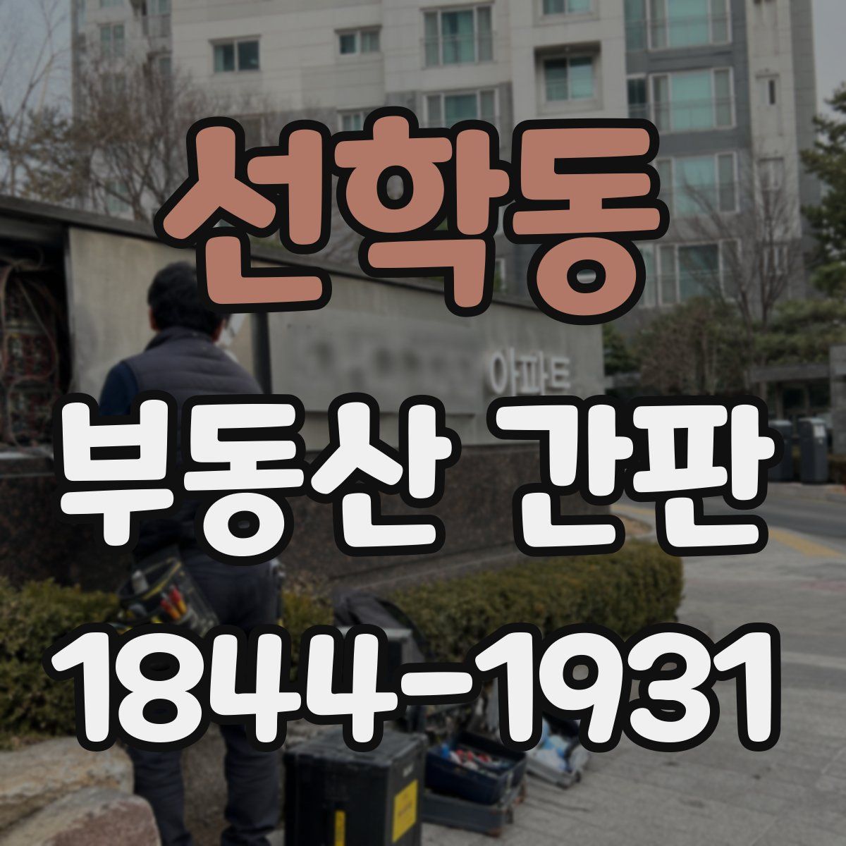 선학동 부동산 간판