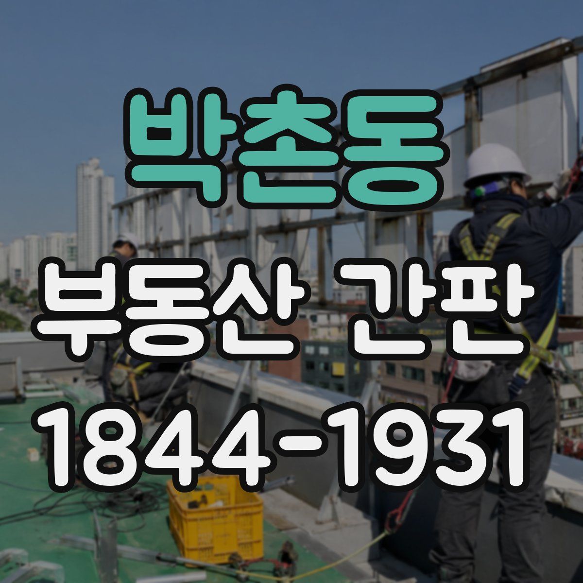 박촌동 부동산 간판