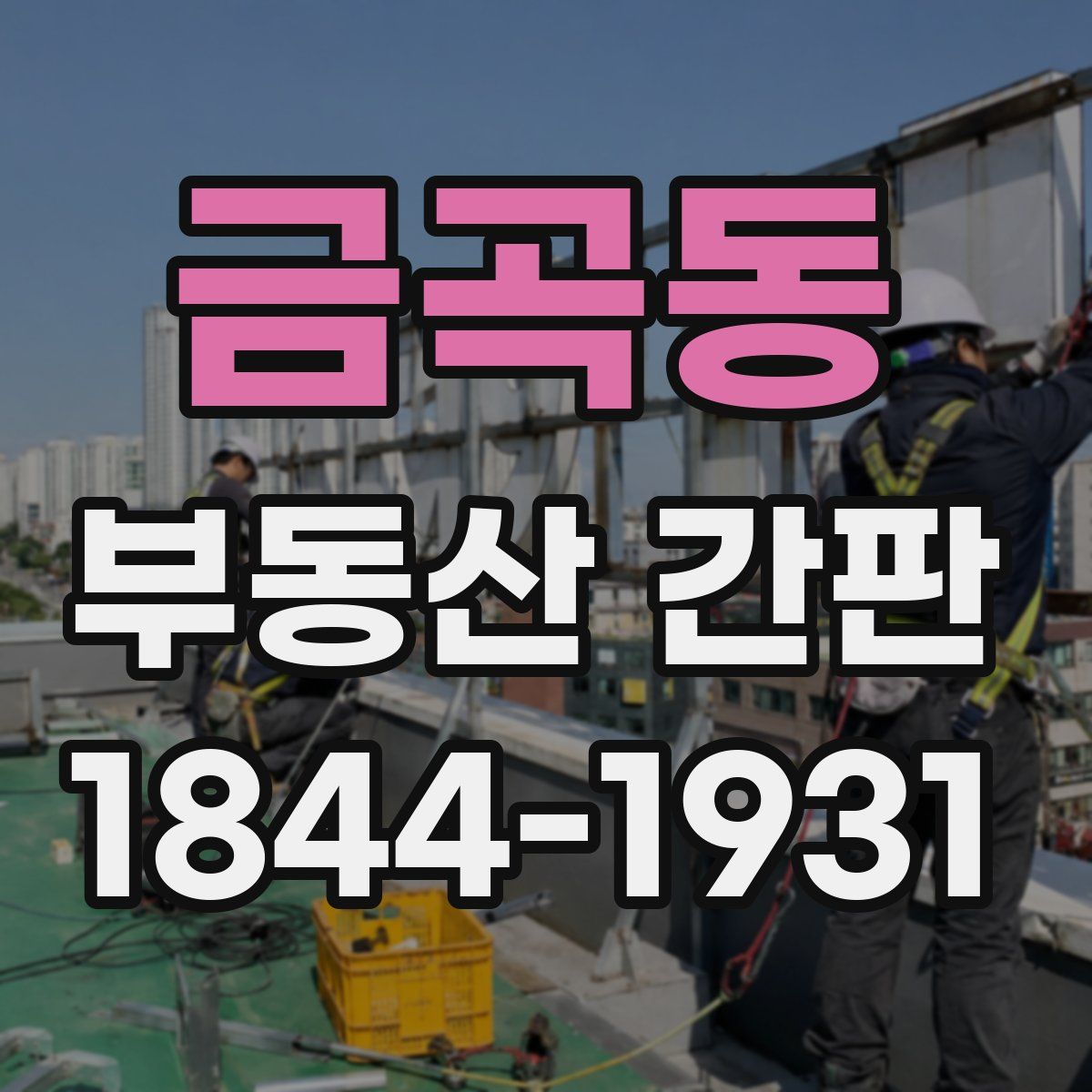 금곡동 부동산 간판