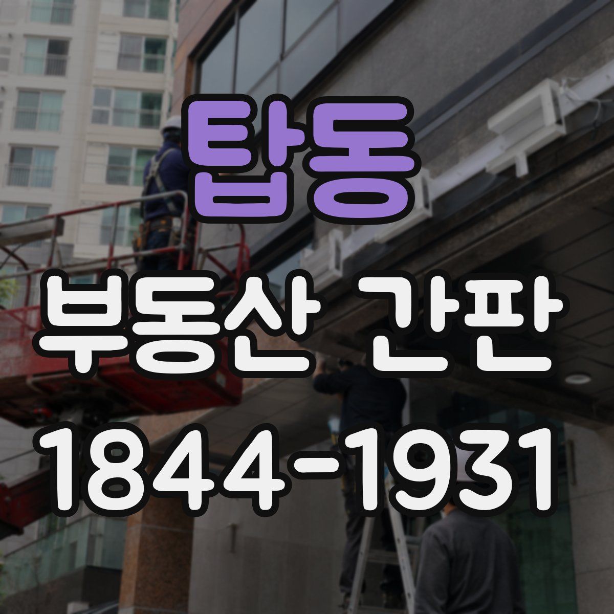 탑동 부동산 간판