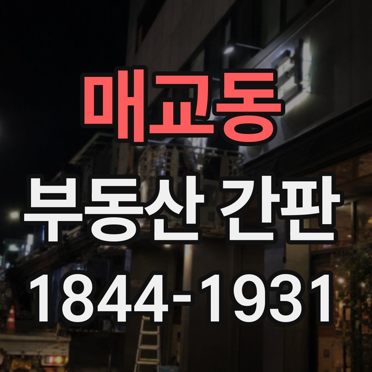 매교동 부동산 간판
